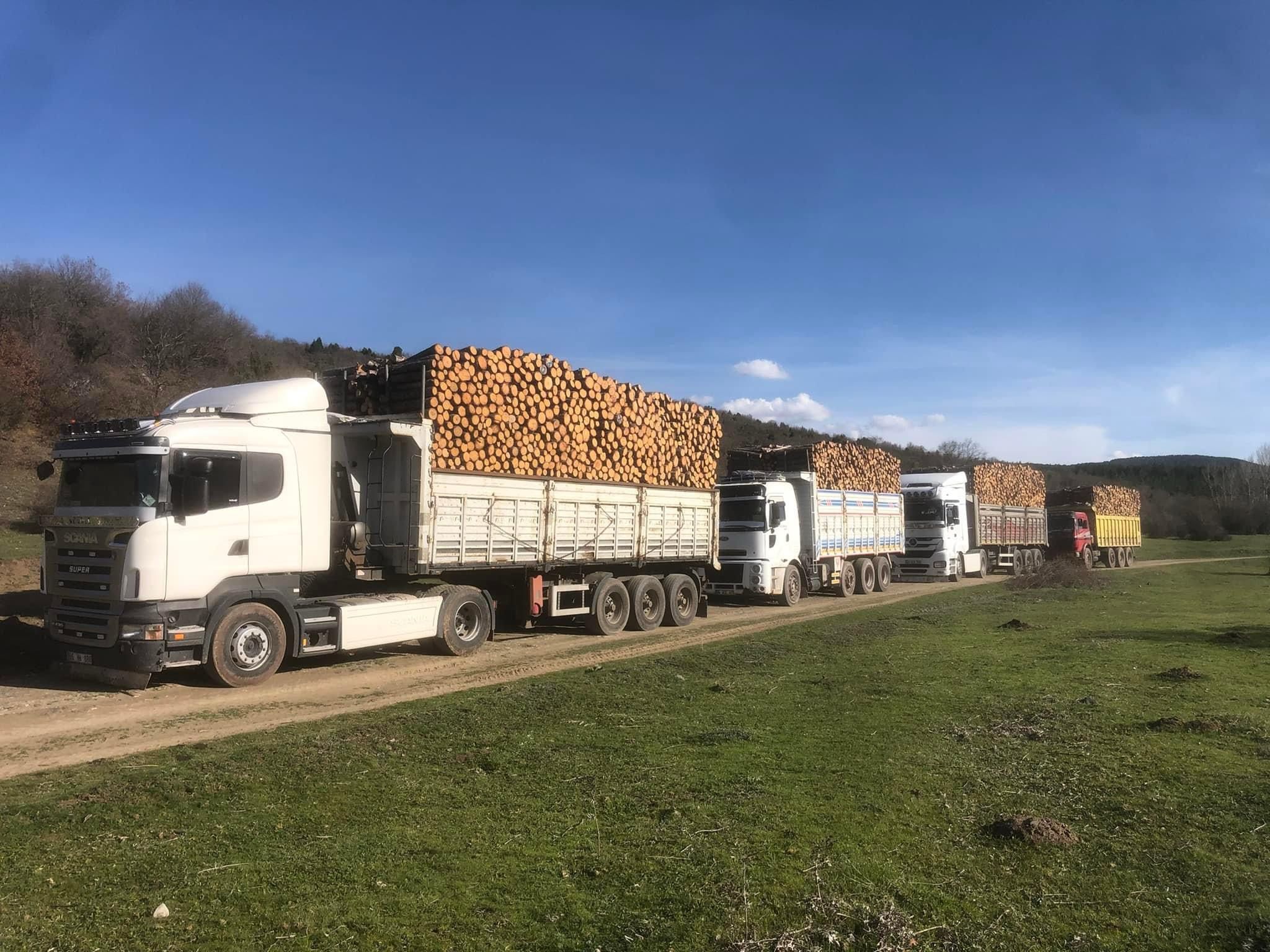 Şanver Orman Ürünleri ve Nakliye